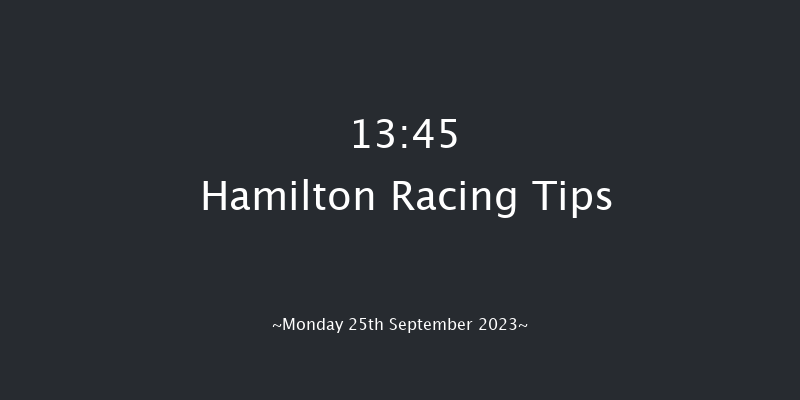 Hamilton 13:45 Handicap (Class 6) 8f Sun 24th Sep 2023