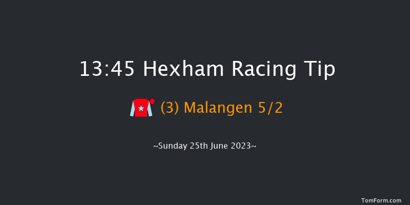 Hexham 13:45 Handicap Hurdle (Class 5) 16f Sat 17th Jun 2023