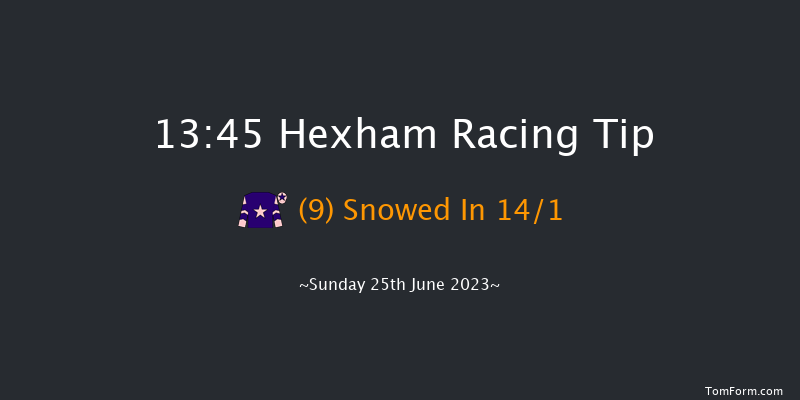 Hexham 13:45 Handicap Hurdle (Class 5) 16f Sat 17th Jun 2023