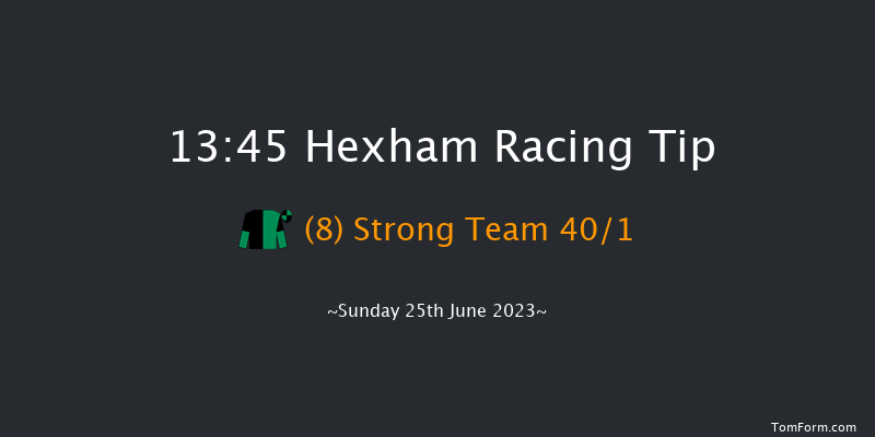 Hexham 13:45 Handicap Hurdle (Class 5) 16f Sat 17th Jun 2023
