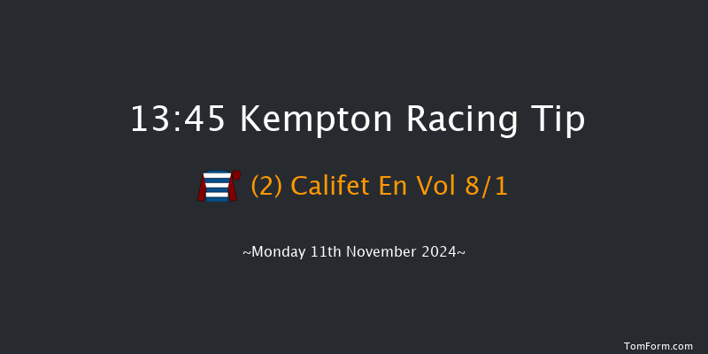 Kempton  13:45 Maiden Hurdle (Class 4) 21f Wed 6th Nov 2024