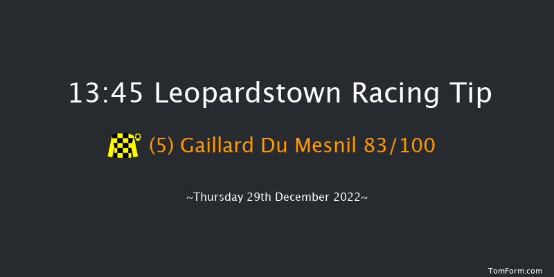 Leopardstown 13:45 Maiden Chase 24f Wed 28th Dec 2022