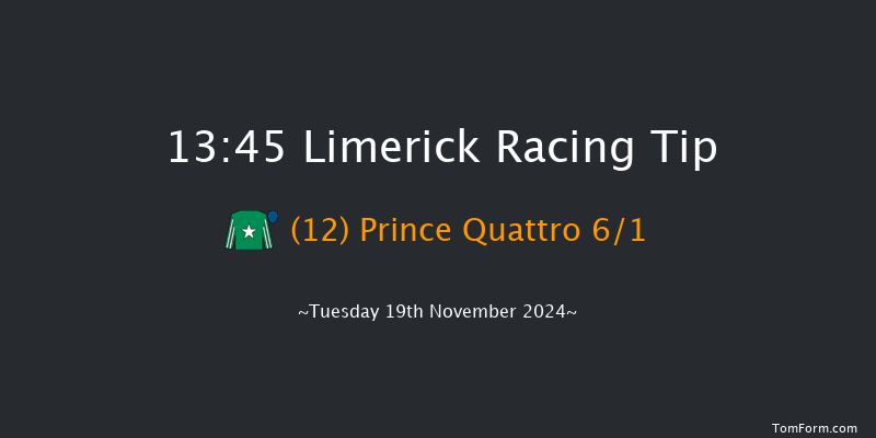 Limerick  13:45 Handicap Hurdle 16f Sun 20th Oct 2024