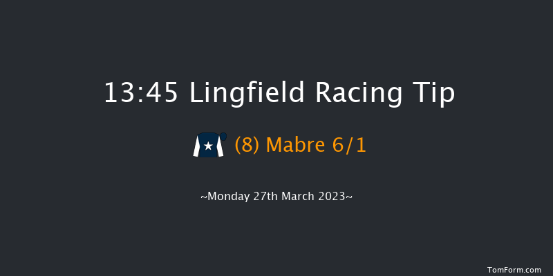 Lingfield 13:45 Handicap (Class 5) 8f Sat 25th Mar 2023