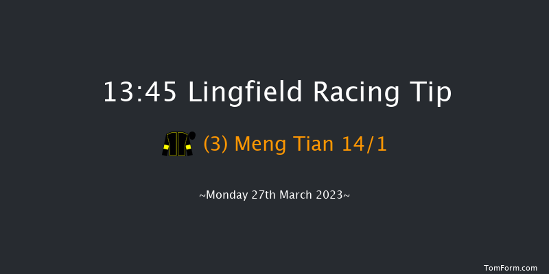 Lingfield 13:45 Handicap (Class 5) 8f Sat 25th Mar 2023