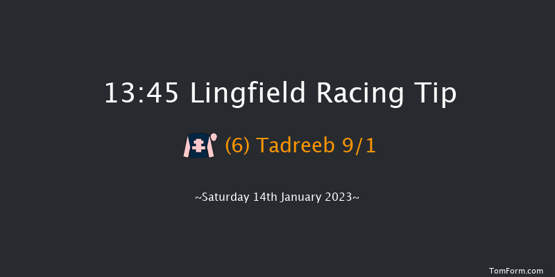 Lingfield 13:45 Handicap (Class 2) 6f Fri 13th Jan 2023