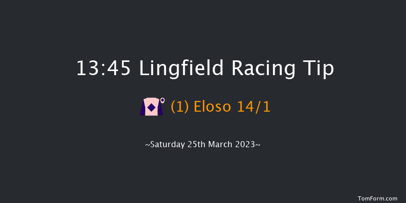 Lingfield 13:45 Handicap (Class 6) 12f Wed 8th Mar 2023