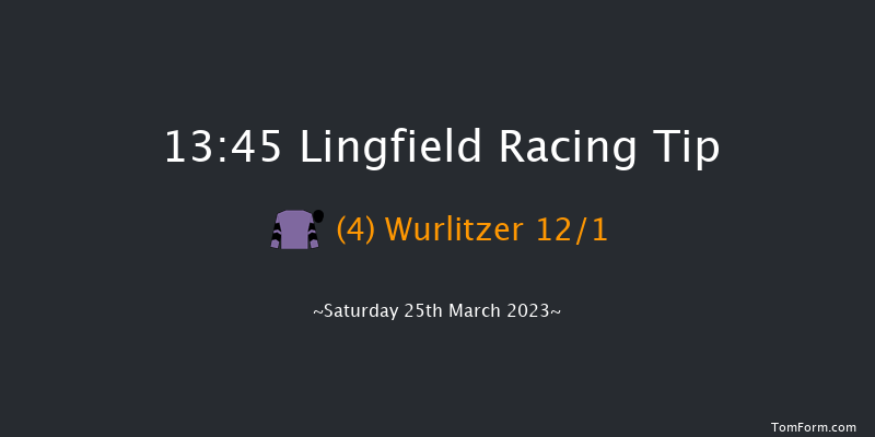 Lingfield 13:45 Handicap (Class 6) 12f Wed 8th Mar 2023