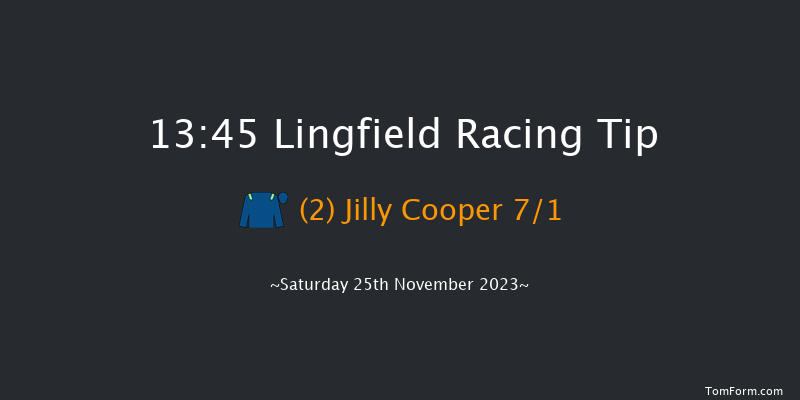 Lingfield 13:45 Handicap (Class 4) 8f Tue 21st Nov 2023