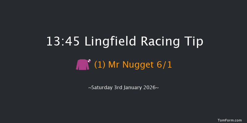 Lingfield 13-45 (Class 6) 12f Wed 31st Dec 2025