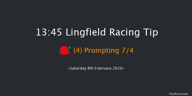 Bombardier Golden Beer Handicap Lingfield 13:45 Handicap (Class 5) 8f Sat 1st Feb 2020