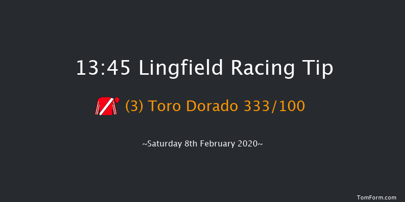 Bombardier Golden Beer Handicap Lingfield 13:45 Handicap (Class 5) 8f Sat 1st Feb 2020
