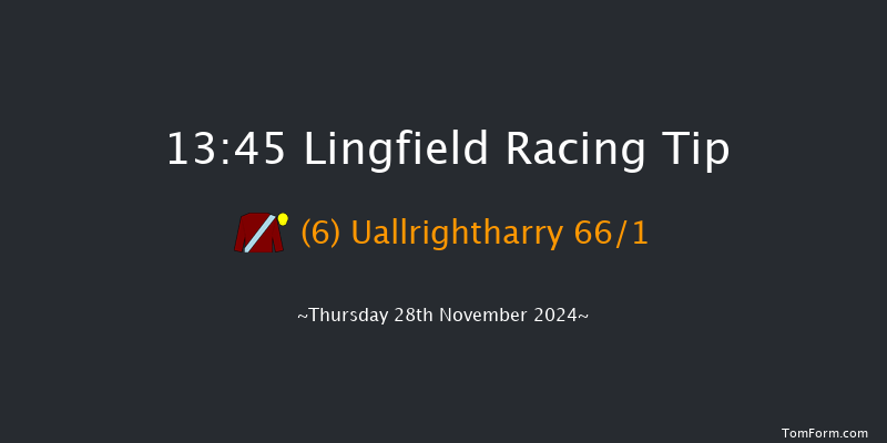 Lingfield  13:45 Handicap Chase (Class 5) 24f Thu 21st Nov 2024
