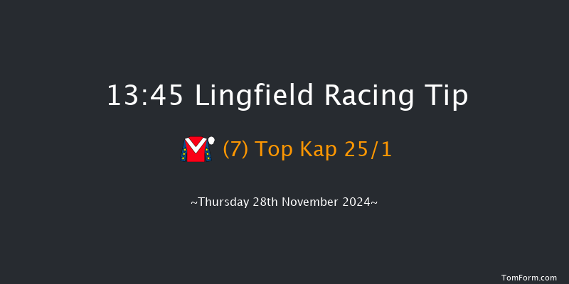 Lingfield  13:45 Handicap Chase (Class 5) 24f Thu 21st Nov 2024