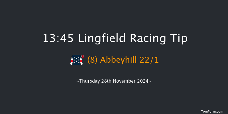 Lingfield  13:45 Handicap Chase (Class 5) 24f Thu 21st Nov 2024