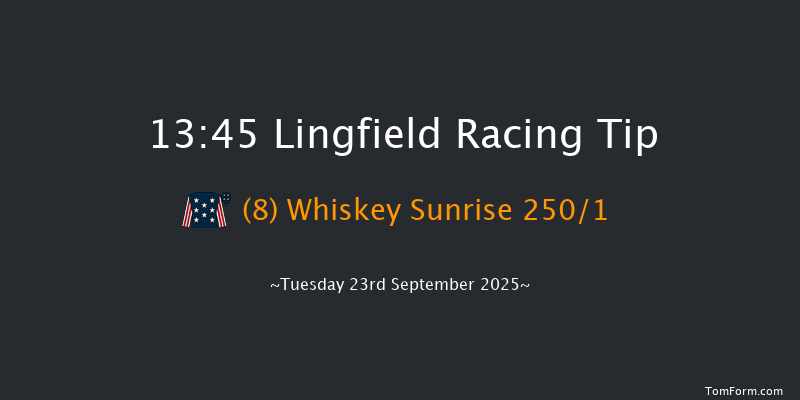 Lingfield 13-45 (Class 5) 12f Sat 13th Sep 2025