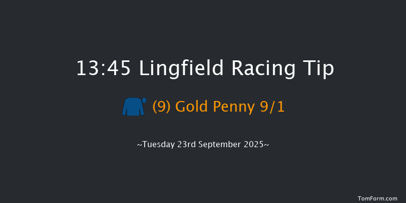 Lingfield 13-45 (Class 5) 12f Sat 13th Sep 2025