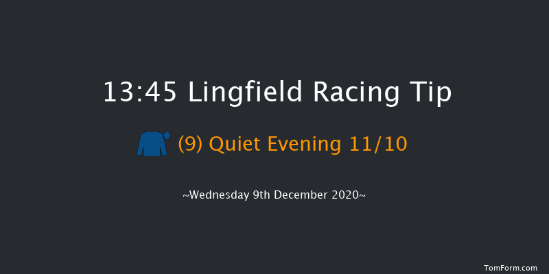Betway Novice Stakes Lingfield 13:45 Stakes (Class 5) 10f Wed 2nd Dec 2020
