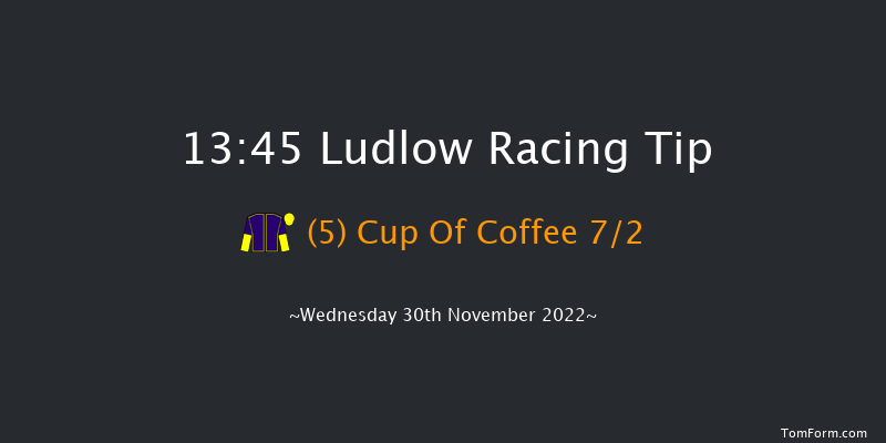 Ludlow 13:45 Handicap Hurdle (Class 2) 16f Mon 21st Nov 2022