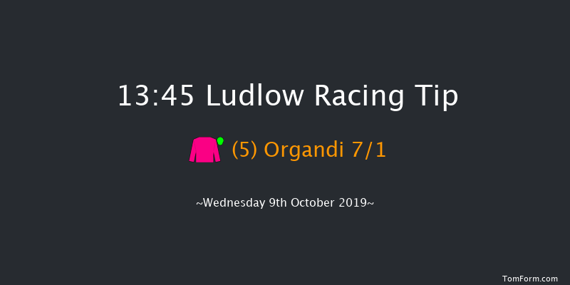 Ludlow 13:45 Handicap Hurdle (Class 3) 21f Thu 1st Jan 1970