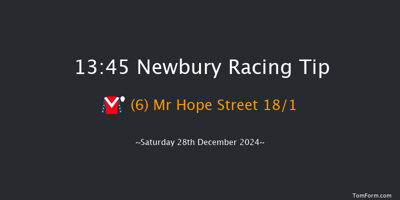Newbury  13:45 Handicap Hurdle (Class 3) 20f Wed 18th Dec 2024