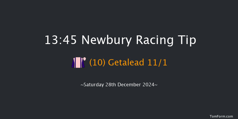 Newbury  13:45 Handicap Hurdle (Class 3) 20f Wed 18th Dec 2024