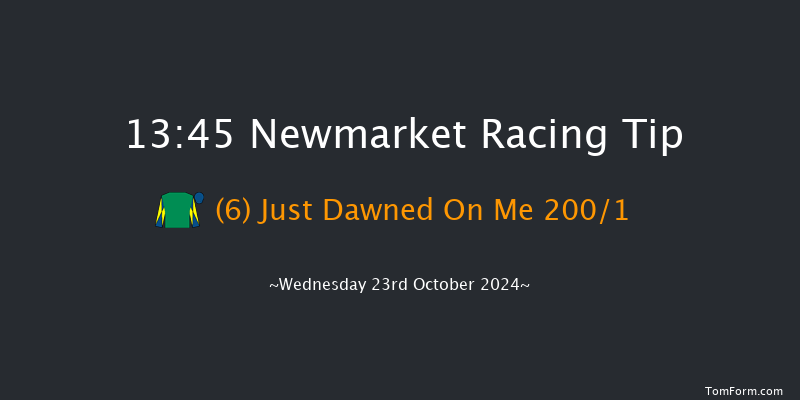 Newmarket  13:45 Stakes (Class 4) 7f Sat 12th Oct 2024