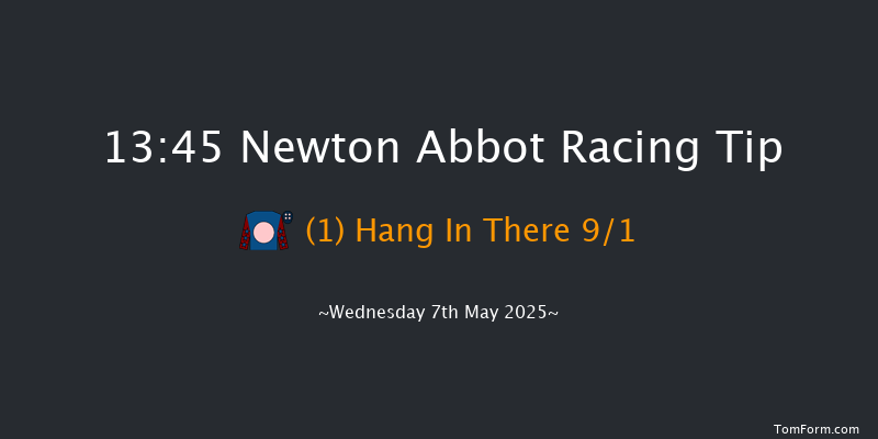 Newton Abbot 13-45 (Class 2) 20f Sat 19th Apr 2025