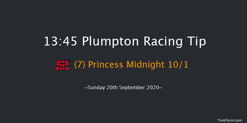 Andrew 'Super Wack' Jackson Memorial Novices' Handicap Chase Plumpton 13:45 Handicap Chase (Class 5) 20f Mon 9th Mar 2020