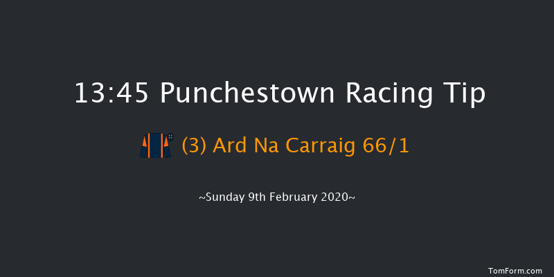 P.p. Hogan Memorial Cross Country Chase Punchestown 13:45 Conditions Chase 25f Wed 15th Jan 2020