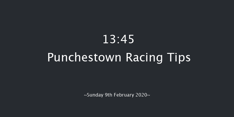 P.p. Hogan Memorial Cross Country Chase Punchestown 13:45 Conditions Chase 25f Wed 15th Jan 2020