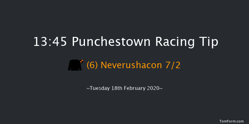 P.P. Hogan Memorial Cross Country Chase Punchestown 13:45 Conditions Chase 25f Wed 15th Jan 2020
