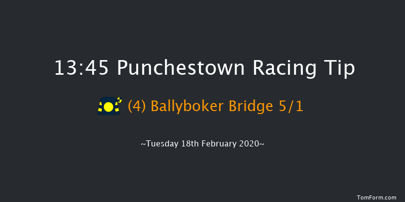 P.P. Hogan Memorial Cross Country Chase Punchestown 13:45 Conditions Chase 25f Wed 15th Jan 2020