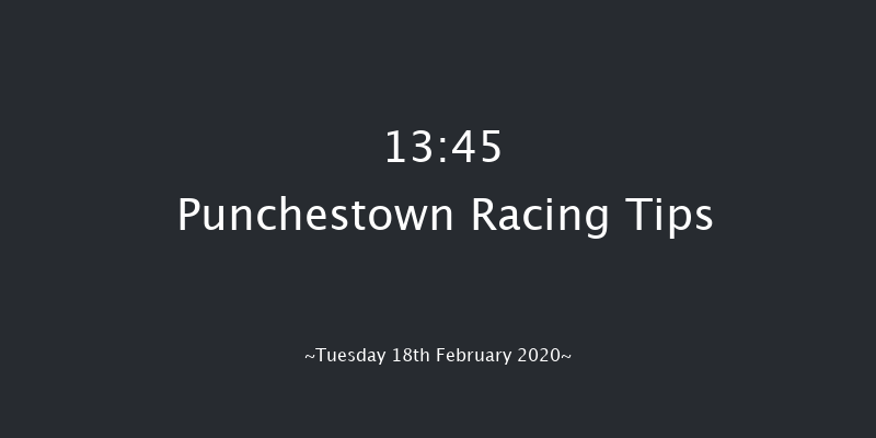 P.P. Hogan Memorial Cross Country Chase Punchestown 13:45 Conditions Chase 25f Wed 15th Jan 2020