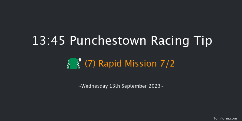 Punchestown 13:45 Maiden 8f Sun 11th Jun 2023