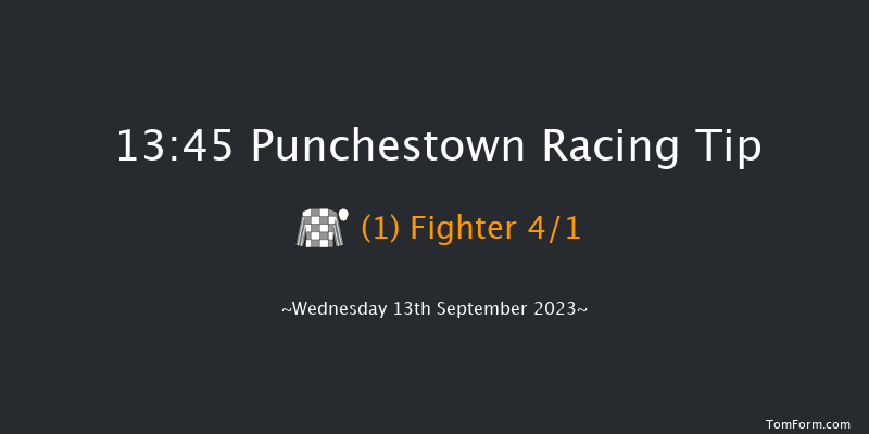 Punchestown 13:45 Maiden 8f Sun 11th Jun 2023