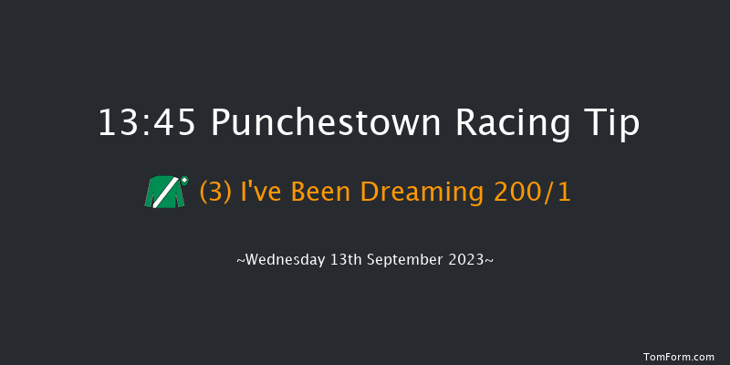 Punchestown 13:45 Maiden 8f Sun 11th Jun 2023