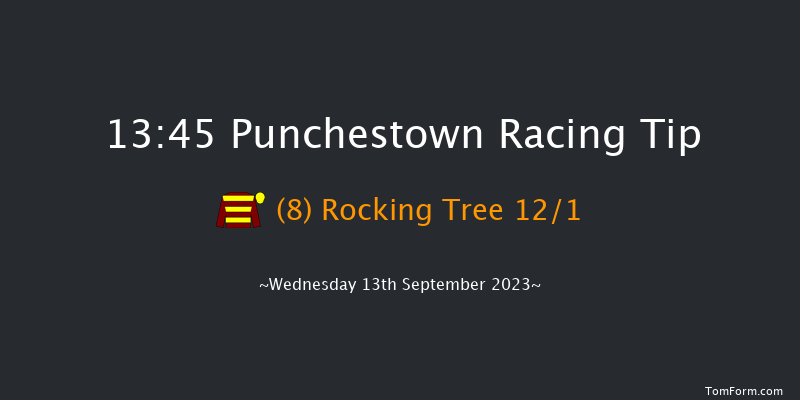 Punchestown 13:45 Maiden 8f Sun 11th Jun 2023