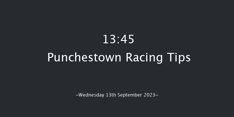 Punchestown 13:45 Maiden 8f Sun 11th Jun 2023