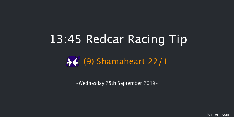 Redcar 13:45 Seller (Class 5) 8f Tue 17th Sep 2019