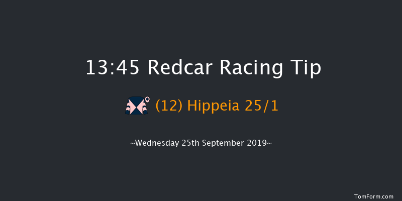 Redcar 13:45 Seller (Class 5) 8f Tue 17th Sep 2019