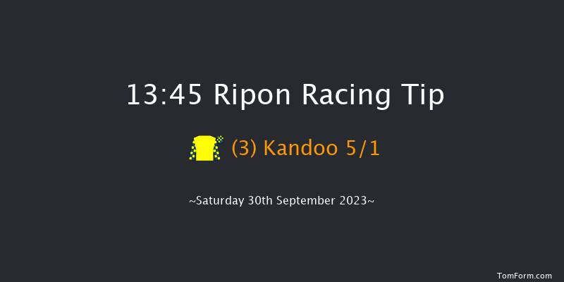 Ripon 13:45 Stakes (Class 5) 6f Tue 5th Sep 2023