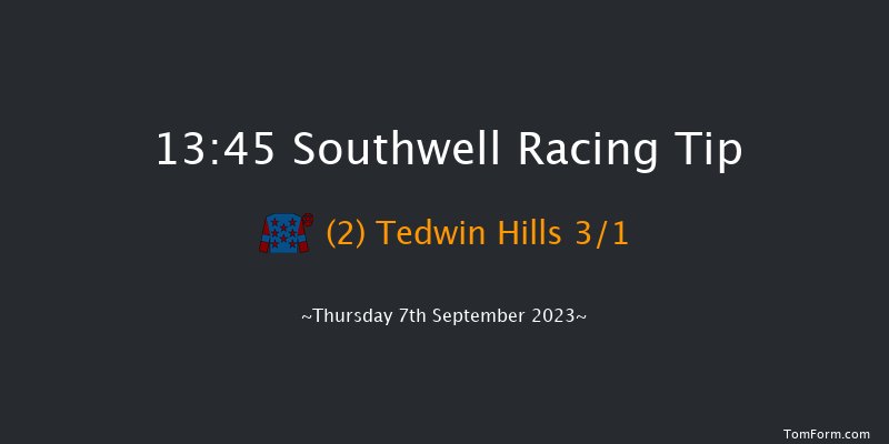 Southwell 13:45 Handicap Chase (Class 5) 20f Wed 6th Sep 2023