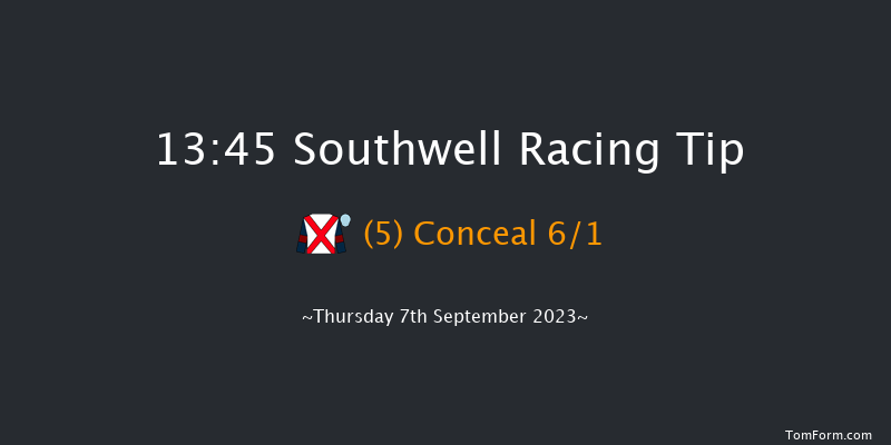 Southwell 13:45 Handicap Chase (Class 5) 20f Wed 6th Sep 2023