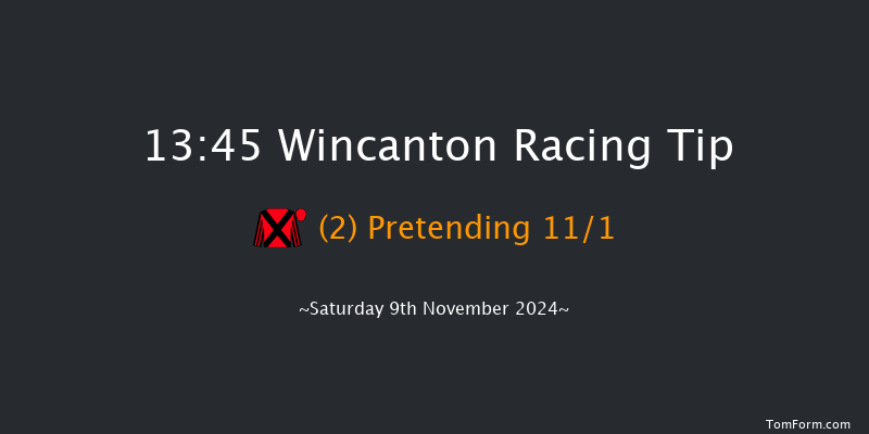 Wincanton  13:45 Handicap Hurdle (Class 2) 21f Sun 27th Oct 2024
