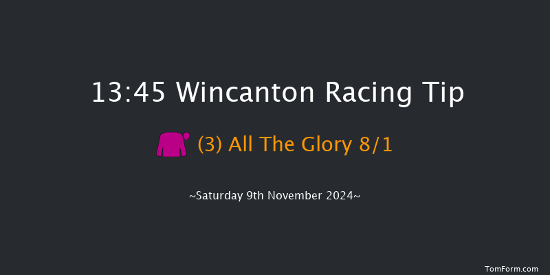 Wincanton  13:45 Handicap Hurdle (Class 2) 21f Sun 27th Oct 2024