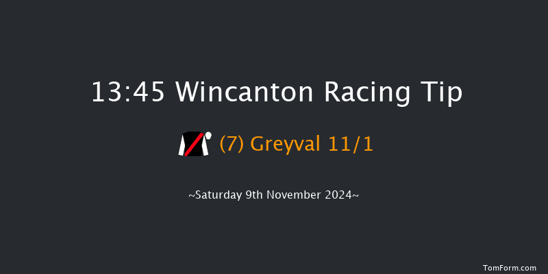 Wincanton  13:45 Handicap Hurdle (Class 2) 21f Sun 27th Oct 2024
