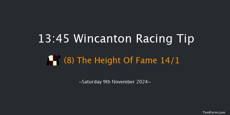 Wincanton  13:45 Handicap Hurdle (Class 2) 21f Sun 27th Oct 2024