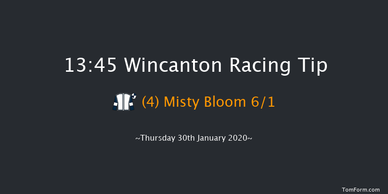 Wincanton 13:45 Handicap Hurdle (Class 3) 20f Sat 4th Jan 2020