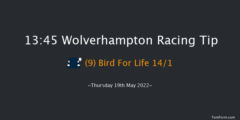 Wolverhampton 13:45 Handicap (Class 6) 16f Tue 17th May 2022